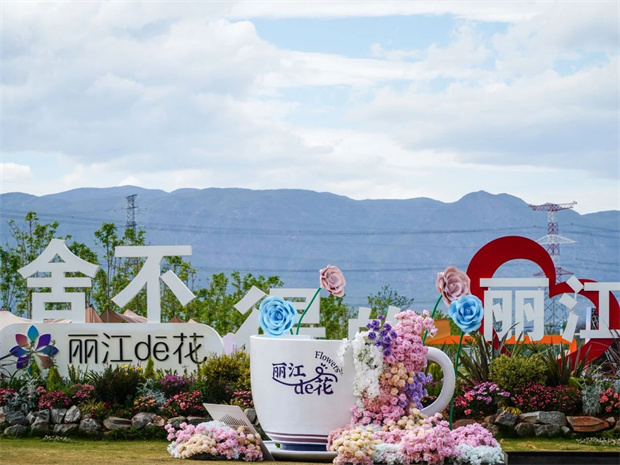 云南旅游,云南旅行社,云南團建公司,云南策劃公司,云南會議會展公司,麗江旅游,麗江旅行社,麗江團建公司,麗江策劃公司:愛上麗江的理由,從一朵花開始